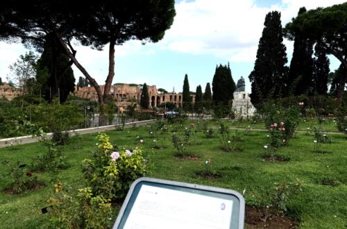 Roseto Comunale Ph. Turismo Roma