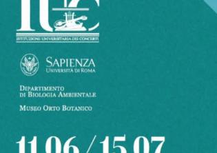 Classica al tramonto 2026 n.9  2026-Foto: locandina uffficiale dell'evento
