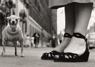 Elliott Erwitt USA. New York City, 1946 40x50 cm © Elliott Erwitt Private Collection