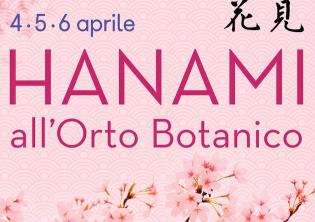 Hanami all'Orto Botanico-Foto: locandina ufficiale della manifestazione Hanami all'Orto Botanico-Foto: locandina ufficiale della manifestazione