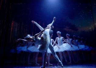 Il lago dei cigni Il lago dei cigni