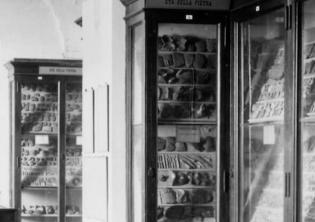 Origine e prospettive-Foto: locandina ufficiale della mostra