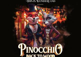 This is Wonderland - Pinocchio Back to Wood