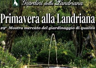 Primavera alla Landriana 2025-Foto: pagina ufficiale Facebook