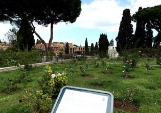 Roseto Comunale Ph. Turismo Roma Roseto Comunale Ph. Turismo Roma