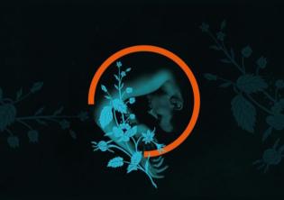 Orbita Spellbound 2026 - Scintille. La Stagione Danza 2026